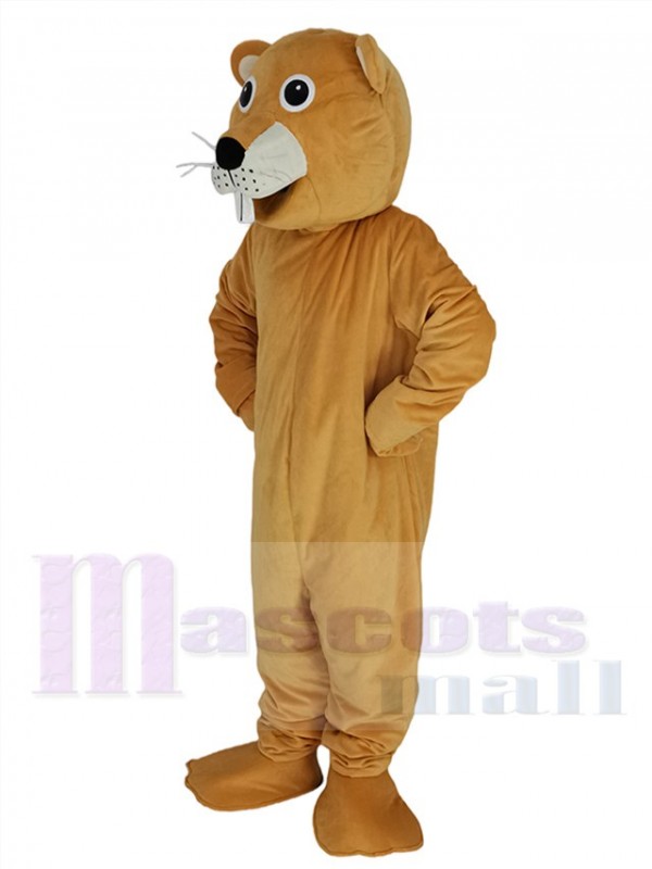 Castor costume de mascotte