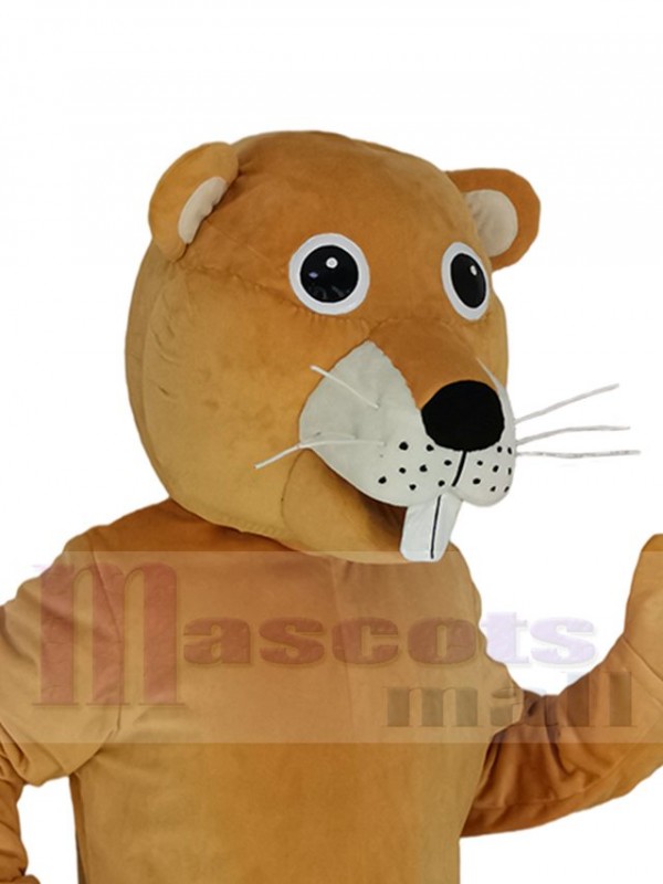 Castor costume de mascotte
