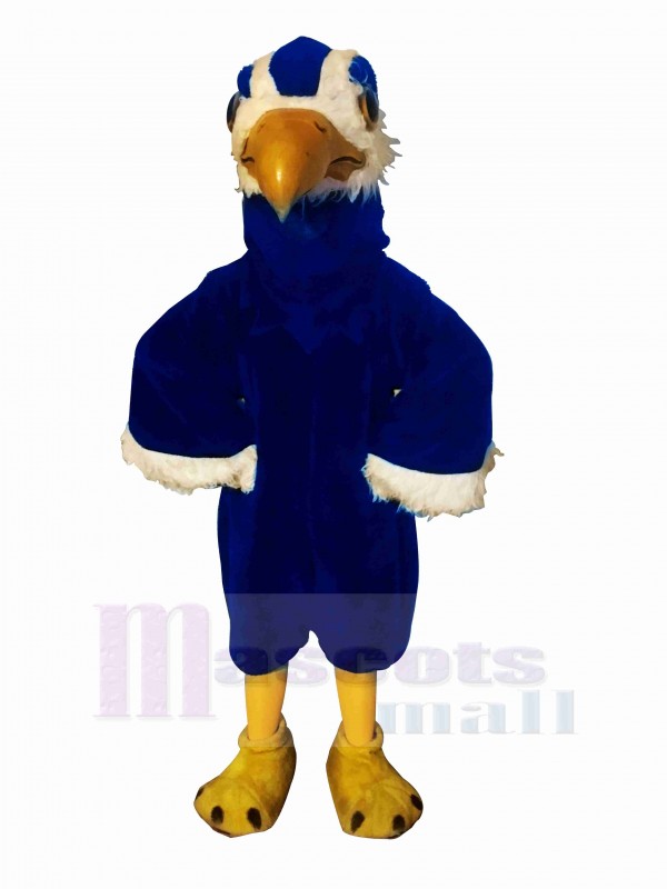 Fort Bleu faucon Mascotte Déguisements Dessin animé