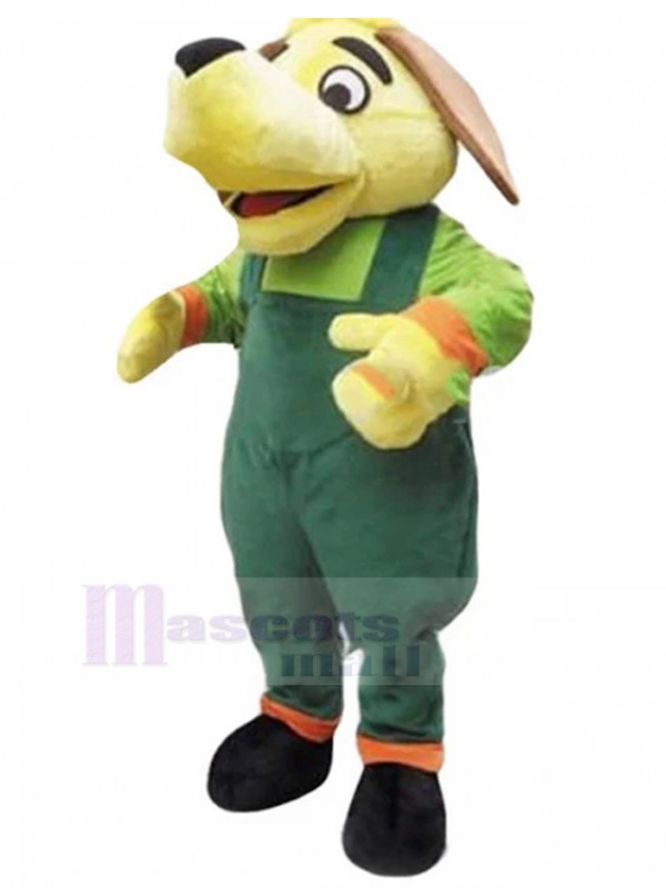 Chien costume de mascotte
