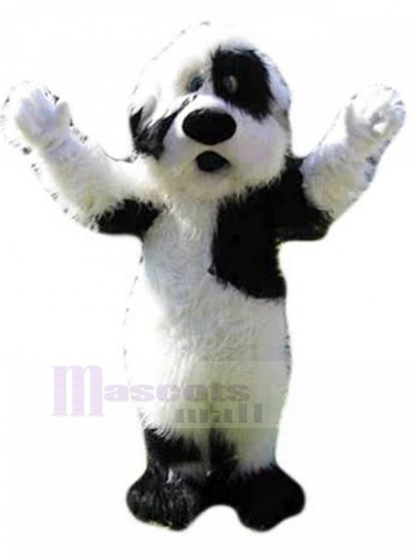 Chien costume de mascotte
