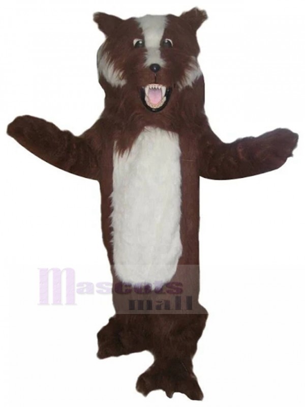 Chien costume de mascotte