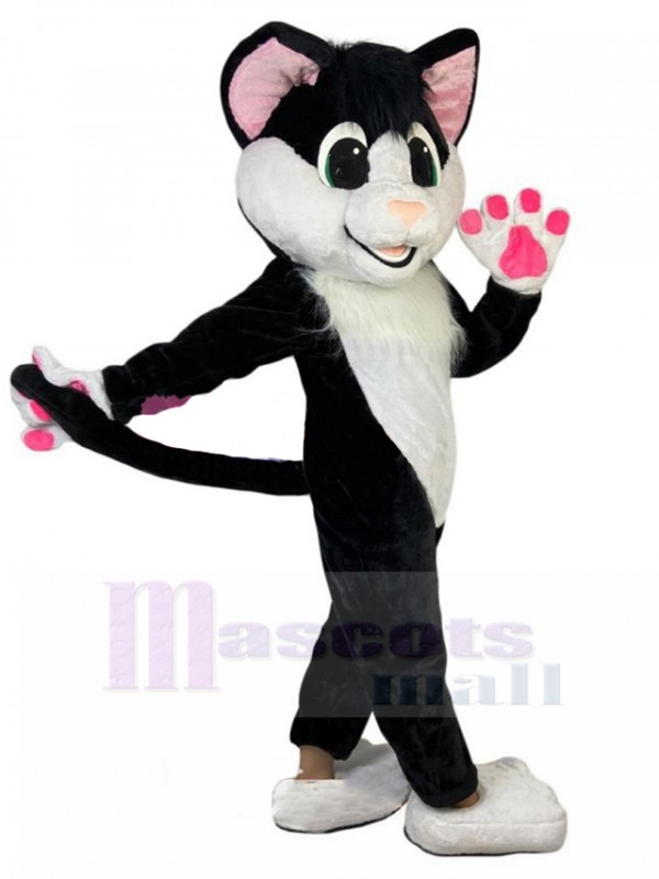 Chat costume de mascotte