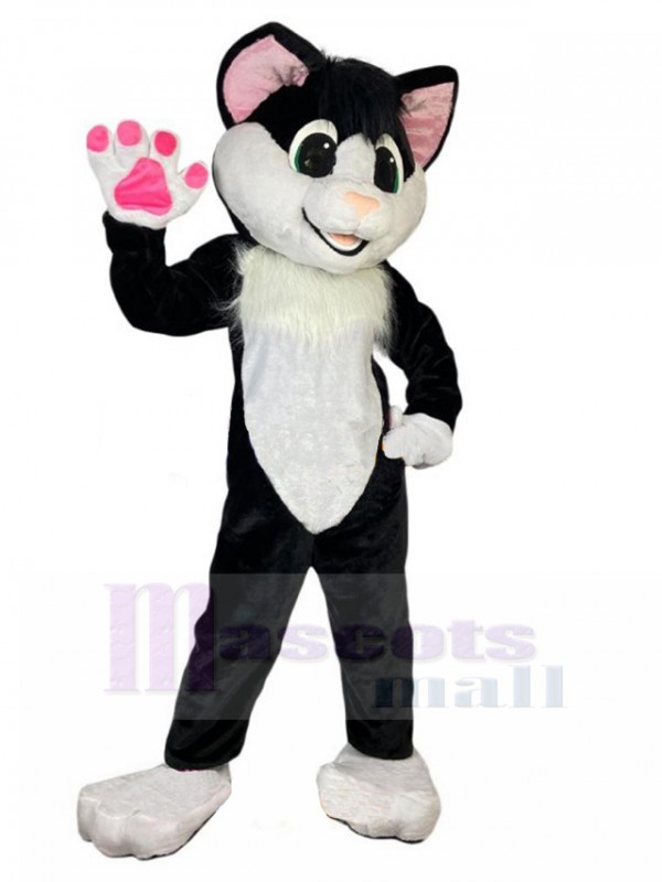 Chat costume de mascotte