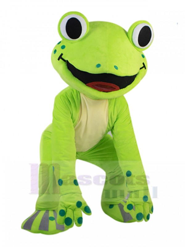 Grenouille costume de mascotte