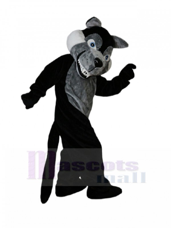Loup costume de mascotte