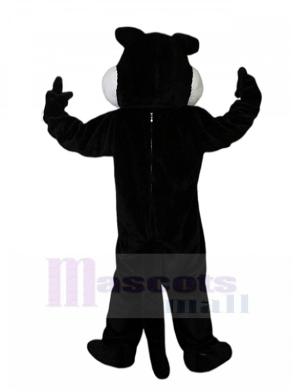 Loup costume de mascotte