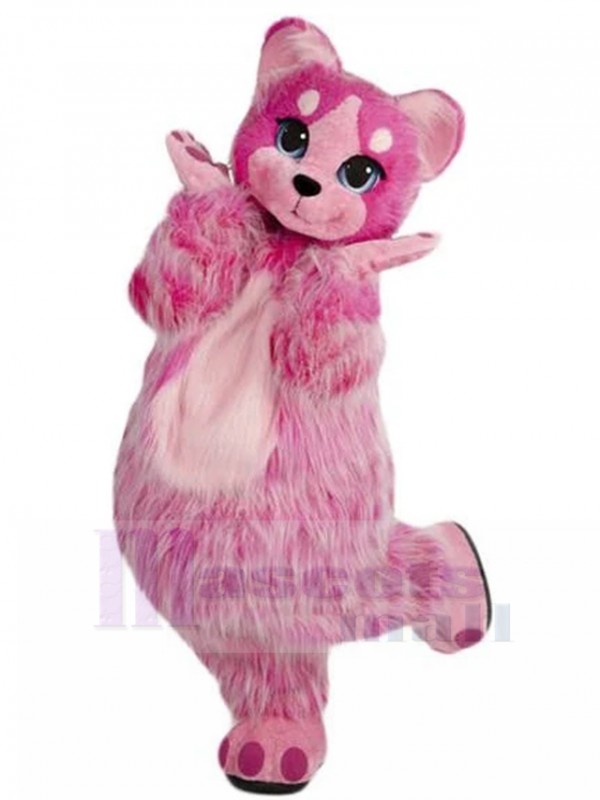 chat costume de mascotte
