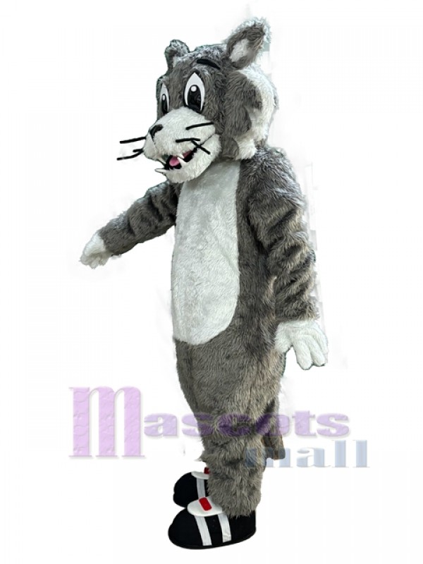 Chat costume de mascotte