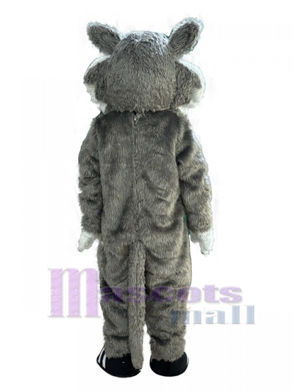 Chat costume de mascotte