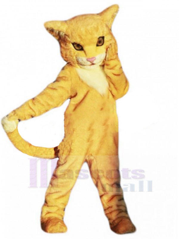 Chat costume de mascotte