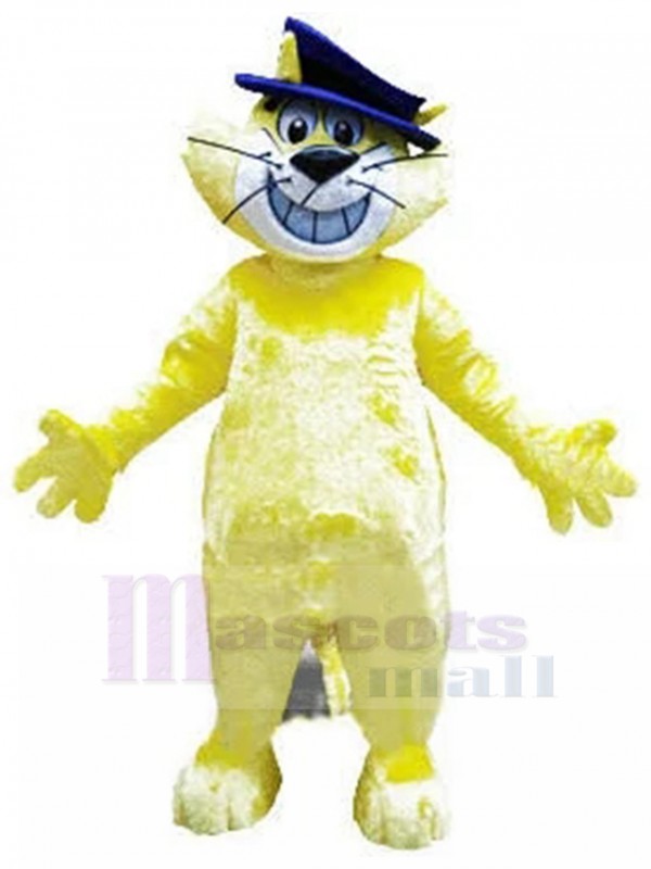 Chat costume de mascotte