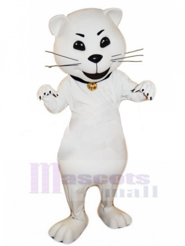 Chat costume de mascotte