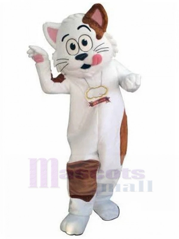 Chat costume de mascotte