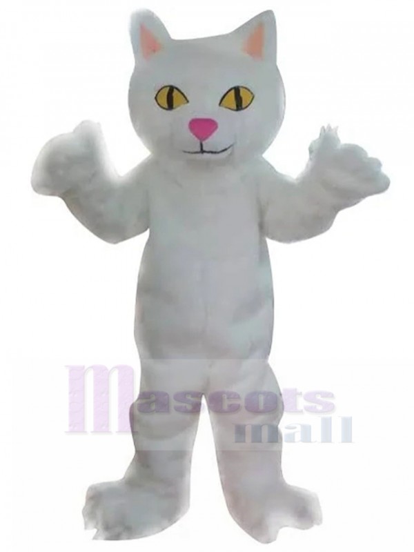 Chat costume de mascotte