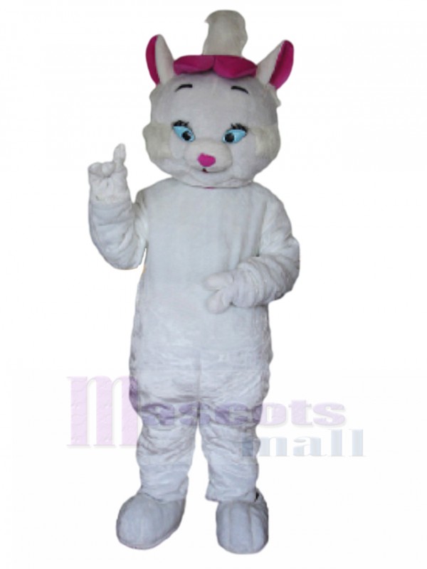 Chat costume de mascotte