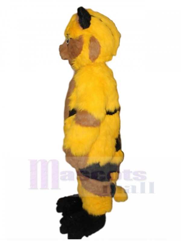 Chat costume de mascotte