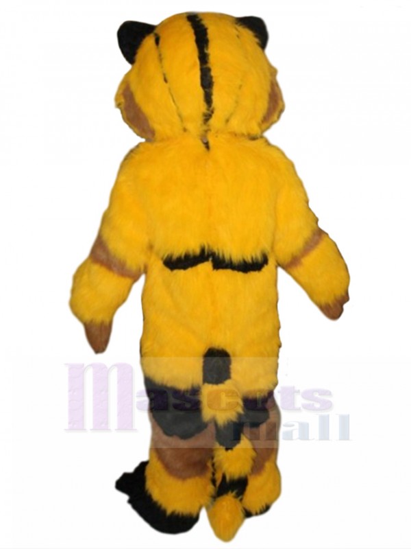 Chat costume de mascotte