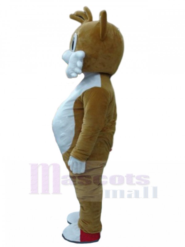 Chat costume de mascotte