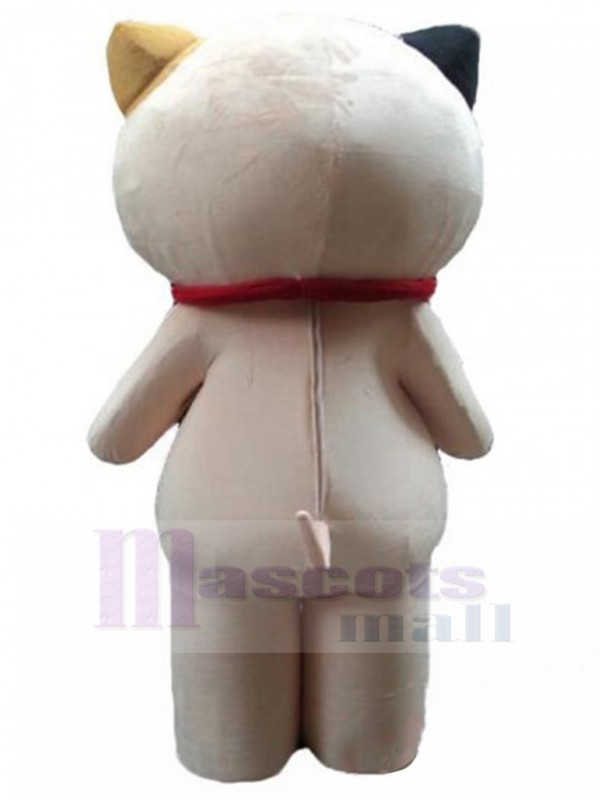 Chat costume de mascotte