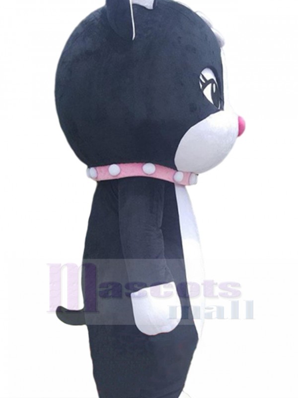Chat costume de mascotte
