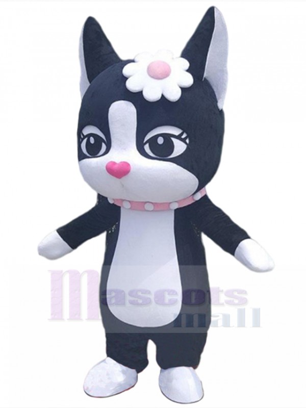 Chat costume de mascotte