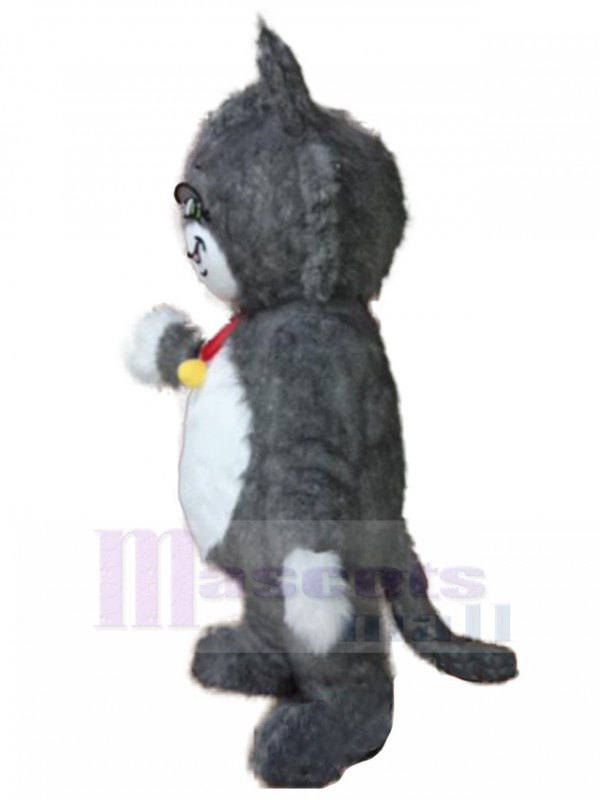 Chat costume de mascotte