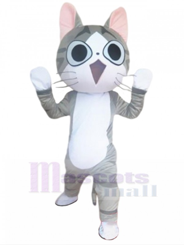 Chat costume de mascotte