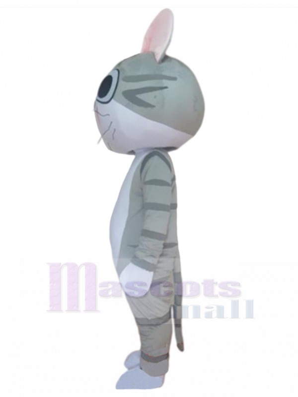 Chat costume de mascotte