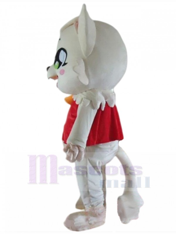 Chat costume de mascotte
