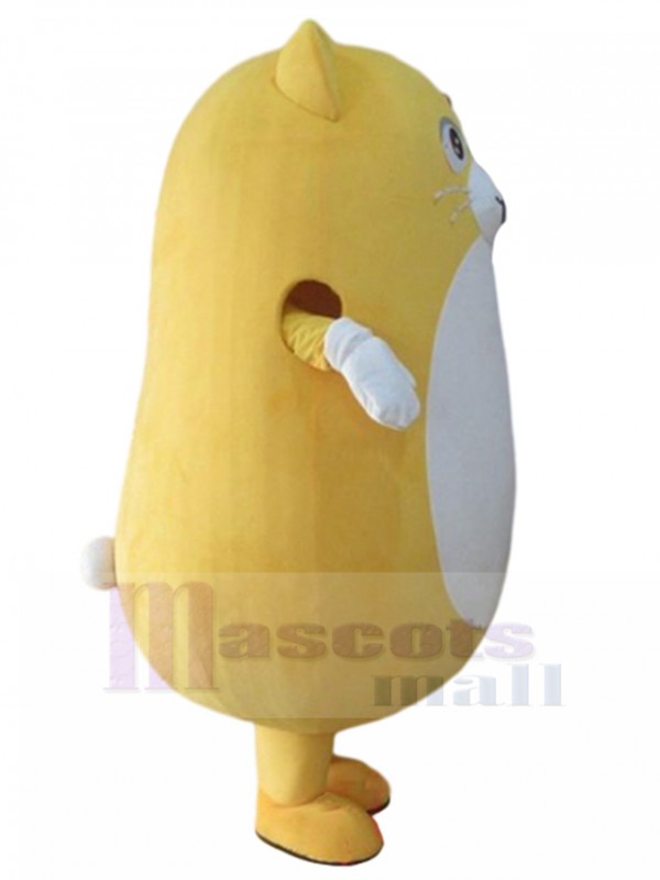 Chat costume de mascotte