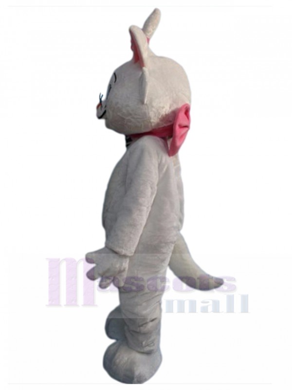 Chat costume de mascotte