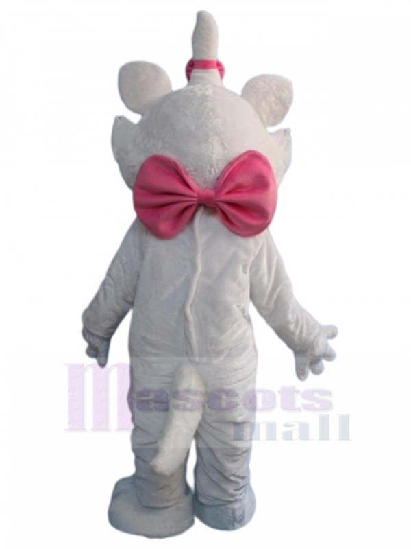 Chat costume de mascotte