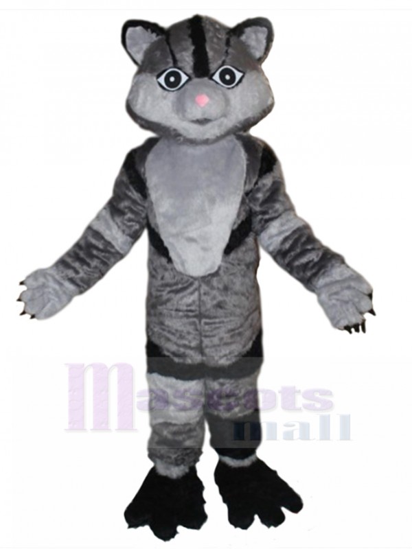 Chat costume de mascotte