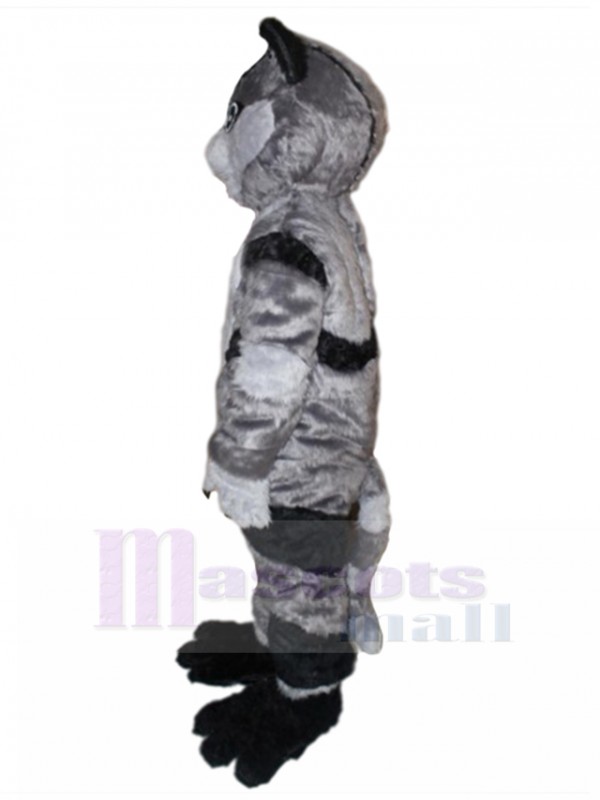 Chat costume de mascotte