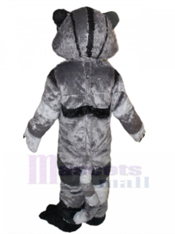 Chat costume de mascotte
