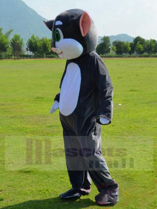 Chat costume de mascotte