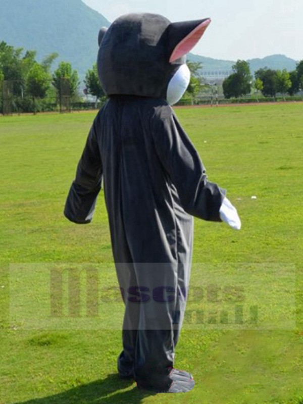 Chat costume de mascotte