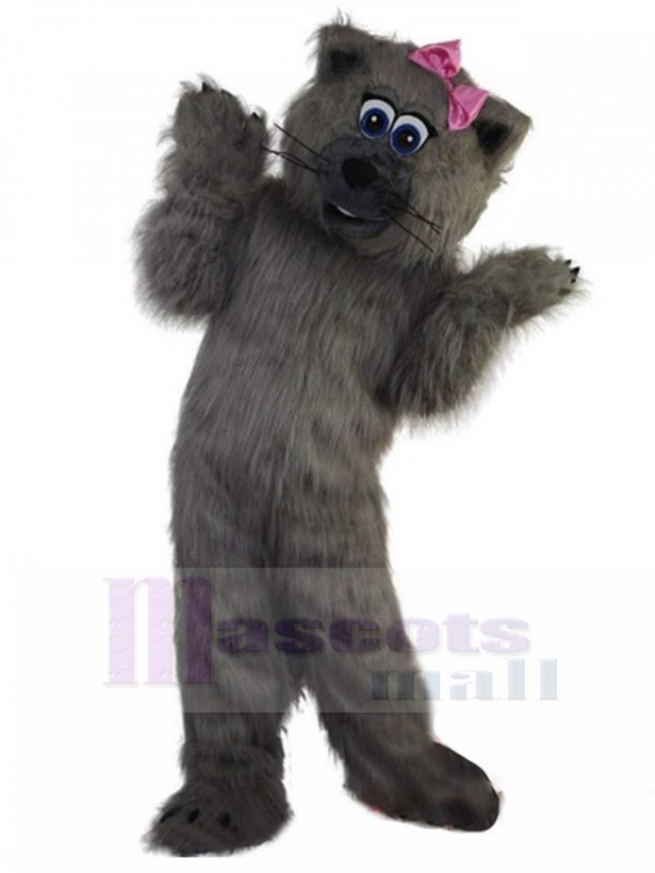 Chat costume de mascotte