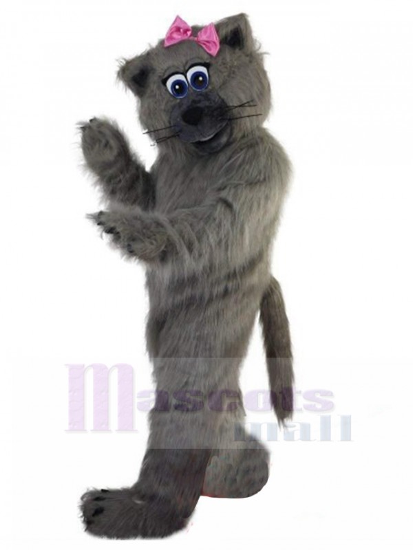Chat costume de mascotte