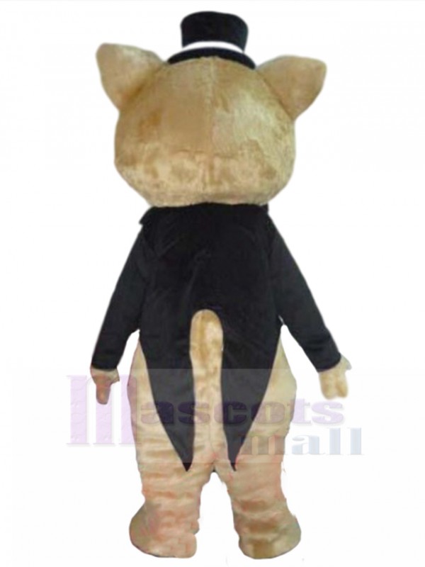 Chat costume de mascotte