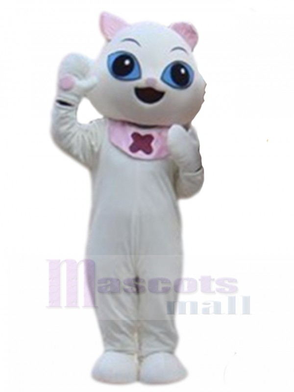 Chat costume de mascotte