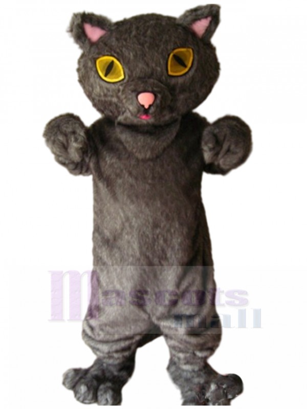 Chat costume de mascotte