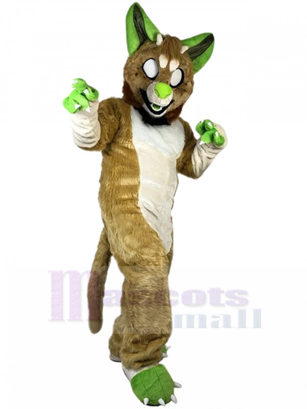 Loup costume de mascotte