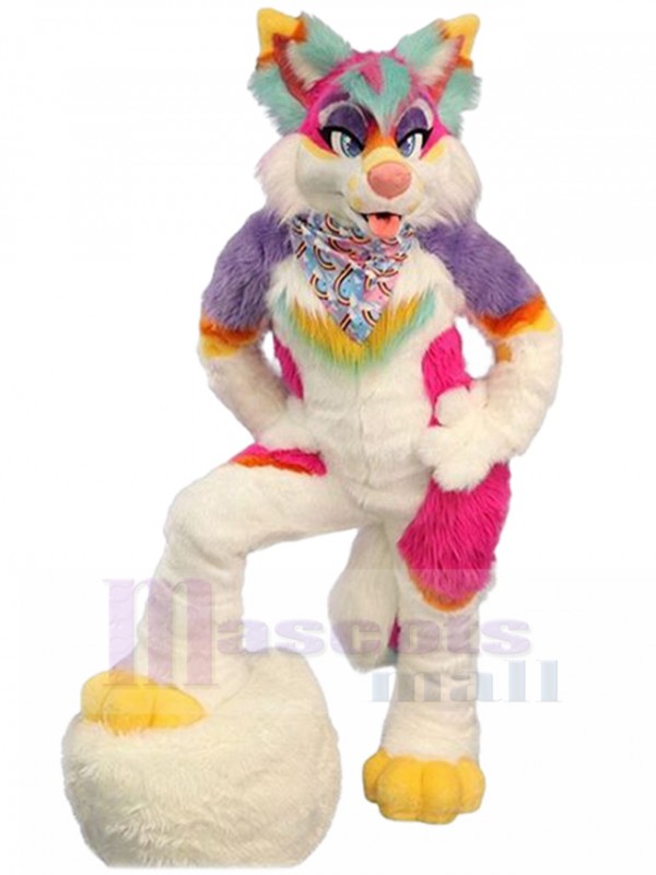 Loup costume de mascotte