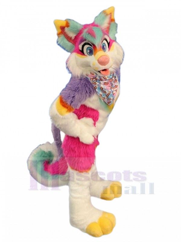 Loup costume de mascotte