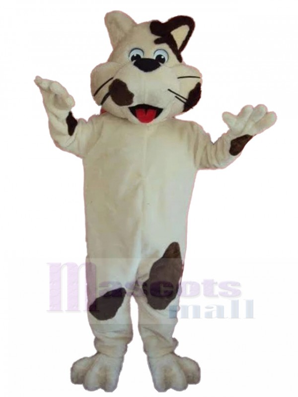 Chat costume de mascotte