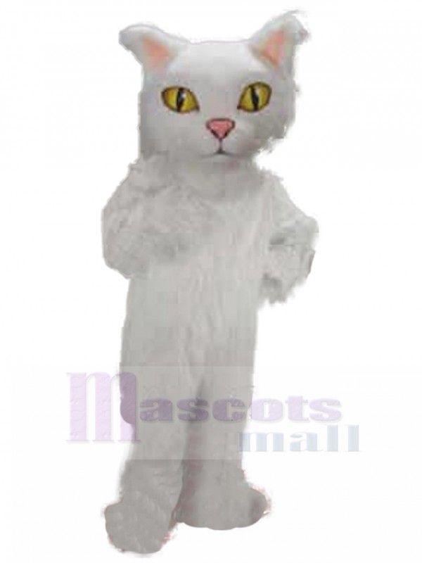 Chat costume de mascotte
