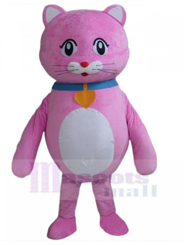 Chat costume de mascotte