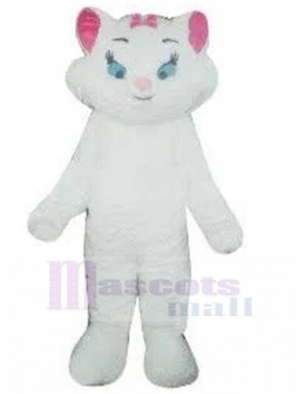 Chat costume de mascotte